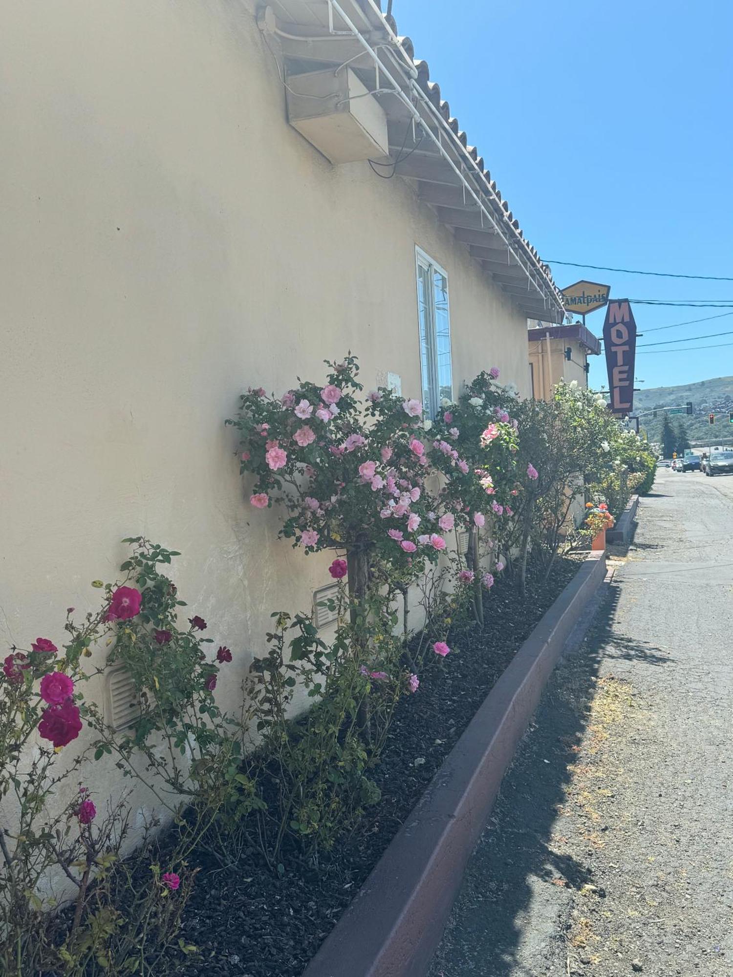 Tamalpais Motel ミルバレー エクステリア 写真